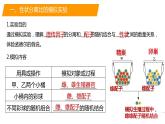 必修二遗传与进化——1.1孟德尔的豌豆杂交实验（一）模拟实验与解题方法课件