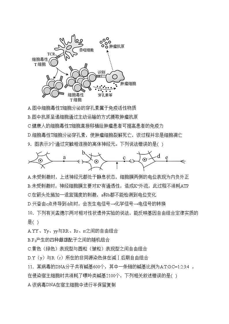 腾冲市第八中学2023-2024学年高二下学期开学考试生物试卷(含答案)第3页