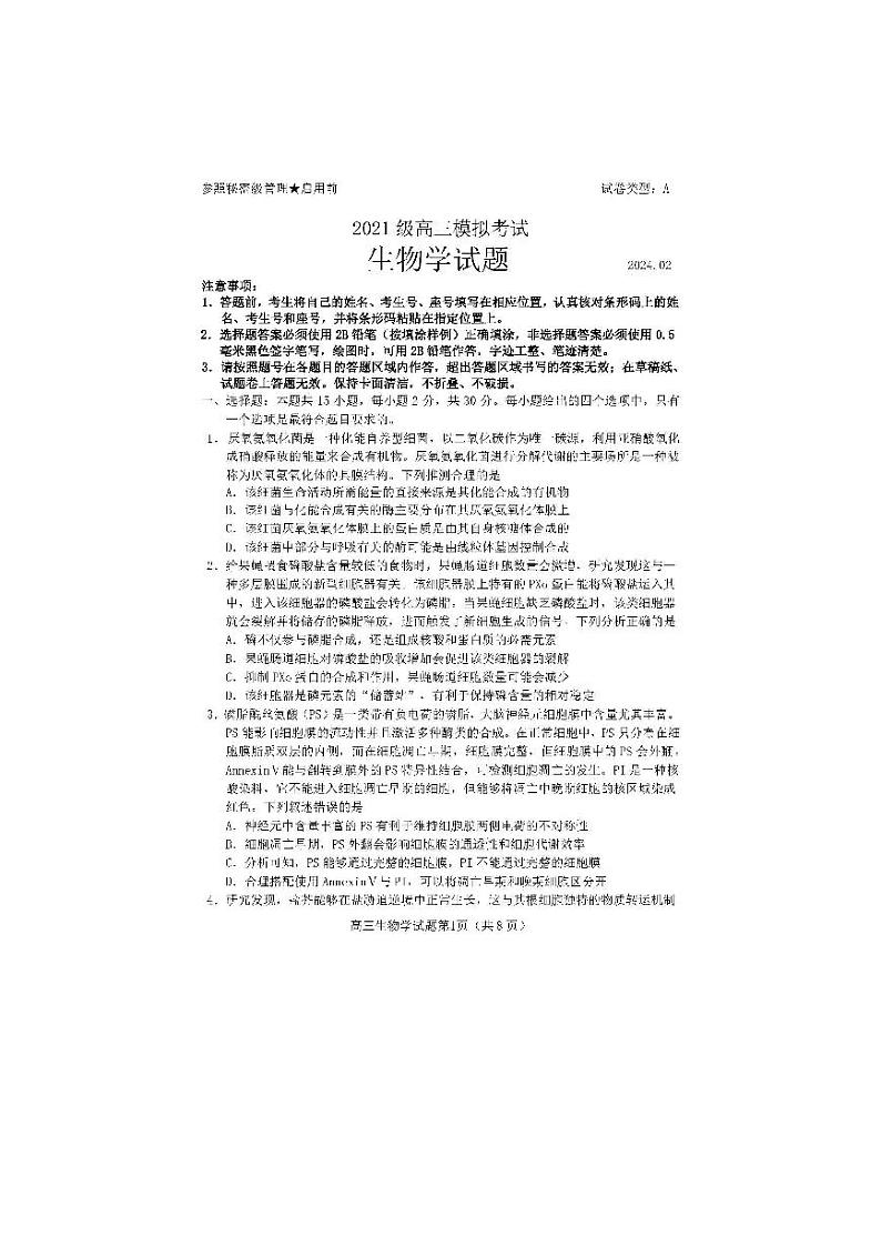 2024届山东省日照市高三下学期3月校际联合考试（一模）生物试题01