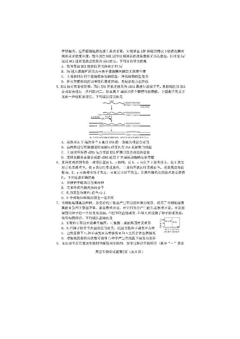 2024届山东省日照市高三下学期3月校际联合考试（一模）生物试题02