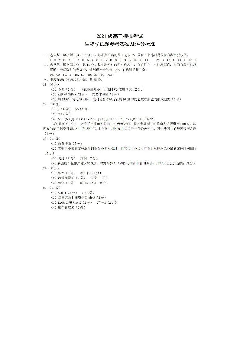 2024届山东省日照市高三下学期3月校际联合考试（一模）生物试题01