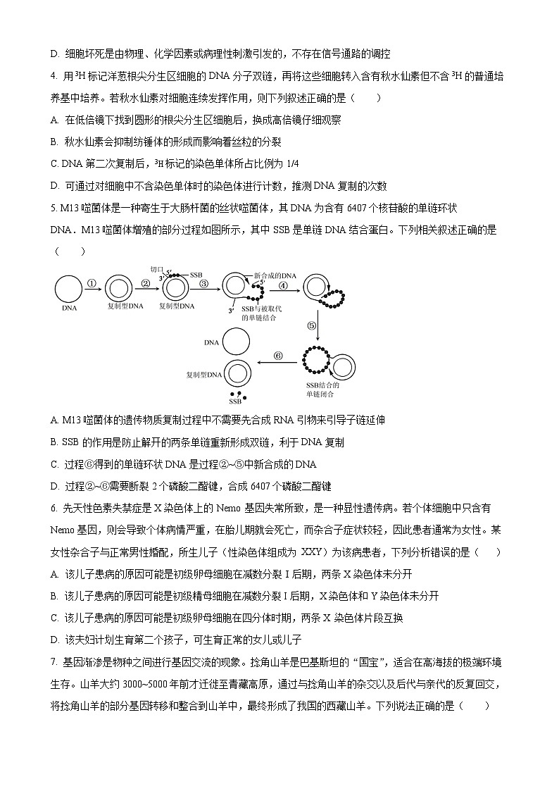 江苏省决胜新高考2023-2024学年高三下学期2月大联考生物试题02