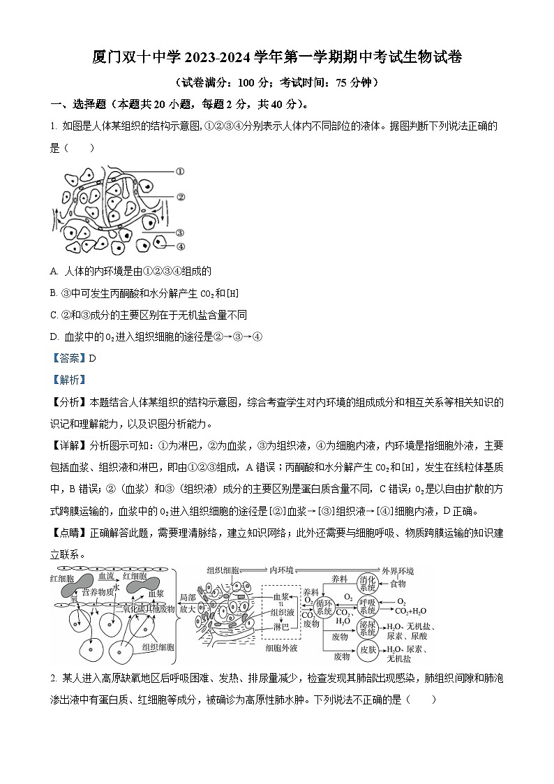 福建省厦门市双十中学2023-2024学年高二上学期期中生物试题（Word版附解析）01