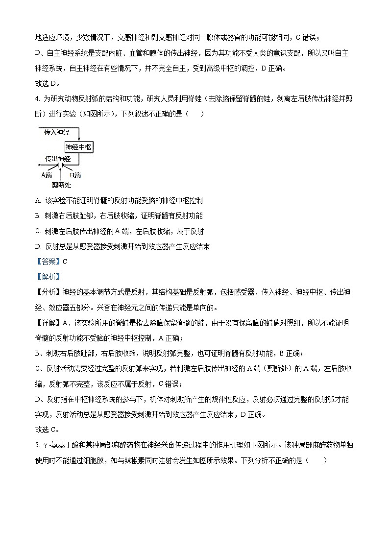 福建省厦门市双十中学2023-2024学年高二上学期期中生物试题（Word版附解析）03