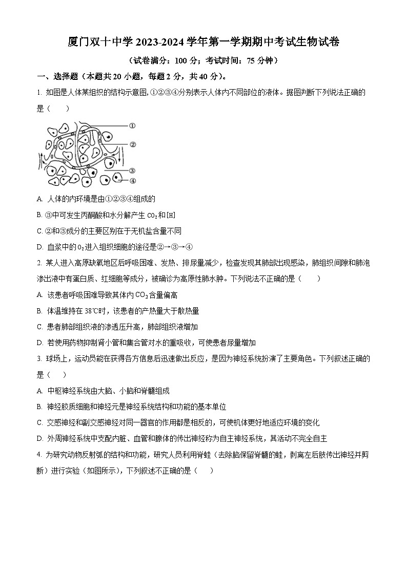 福建省厦门市双十中学2023-2024学年高二上学期期中生物试题（Word版附解析）01