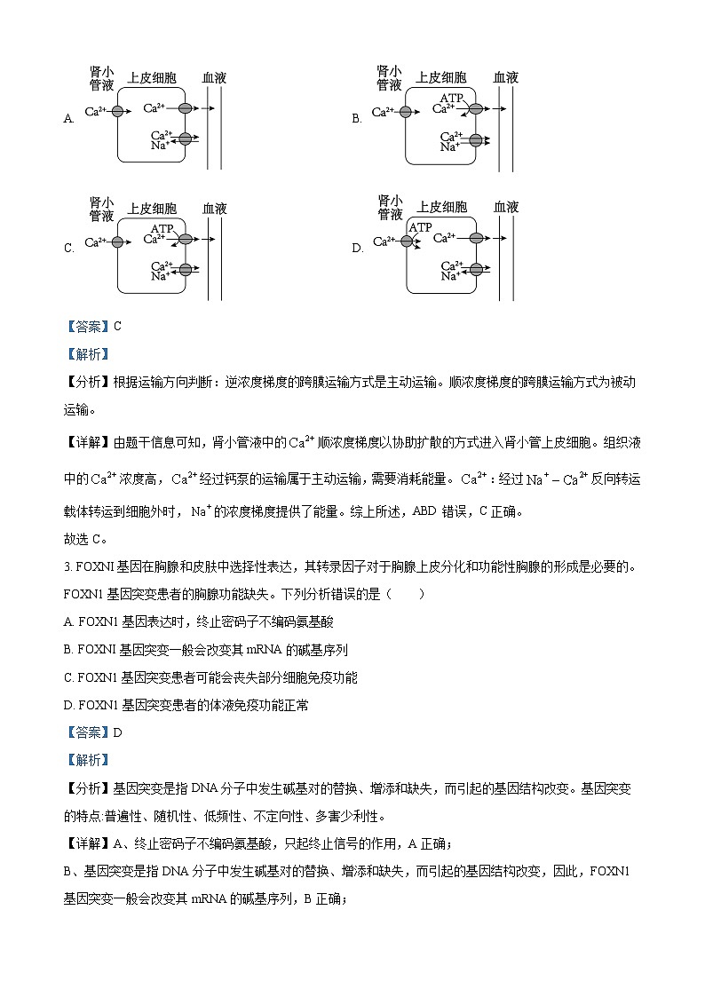 精品解析：四川省雅安市雅安中学等校联考2023-2024学年高三下学期开学考试理综生物试题（解析版）第2页