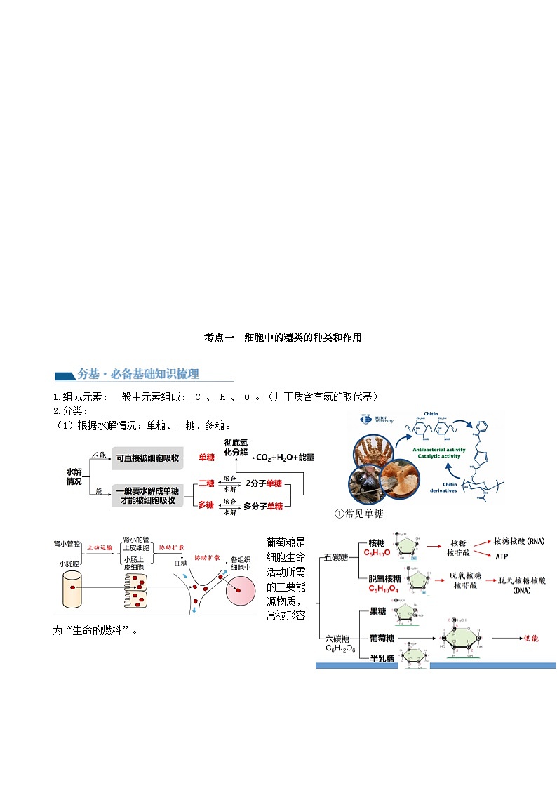 最新高考生物一轮复习【讲通练透】 第03讲 糖类和脂质（讲通）02