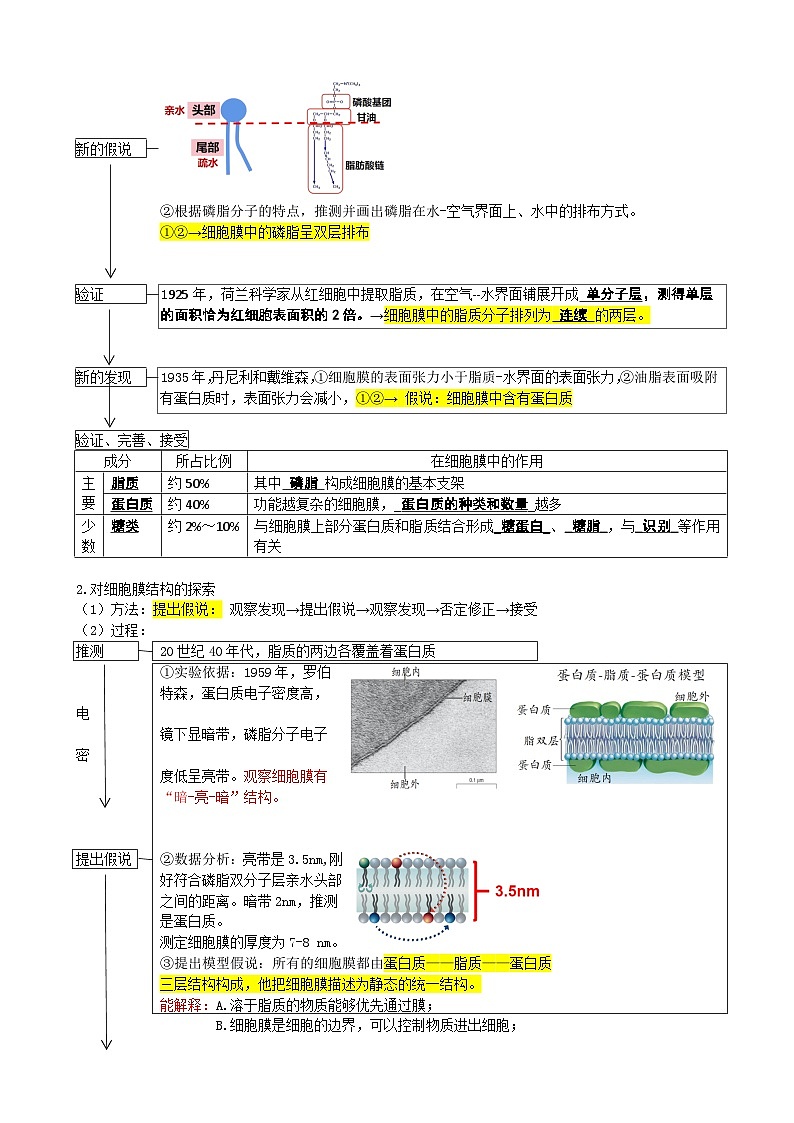 第5讲 细胞膜和细胞核（讲义）（学生版）第3页