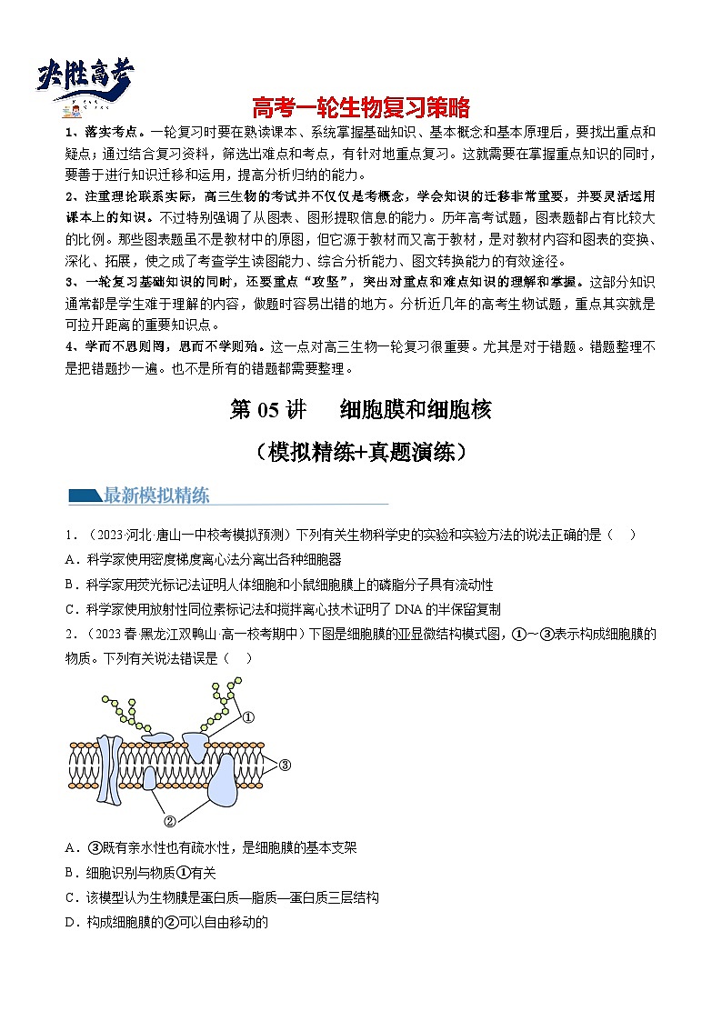 最新高考生物一轮复习【讲通练透】 第5讲 细胞膜和细胞核（练透）01