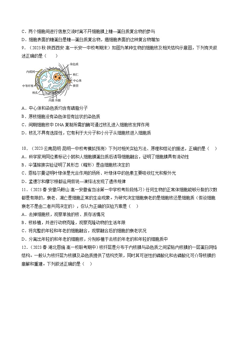 最新高考生物一轮复习【讲通练透】 第5讲 细胞膜和细胞核（练透）03