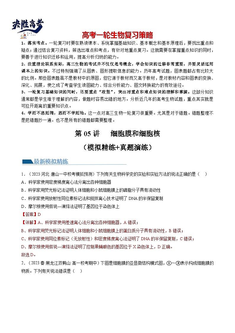 最新高考生物一轮复习【讲通练透】 第5讲 细胞膜和细胞核（练透）01