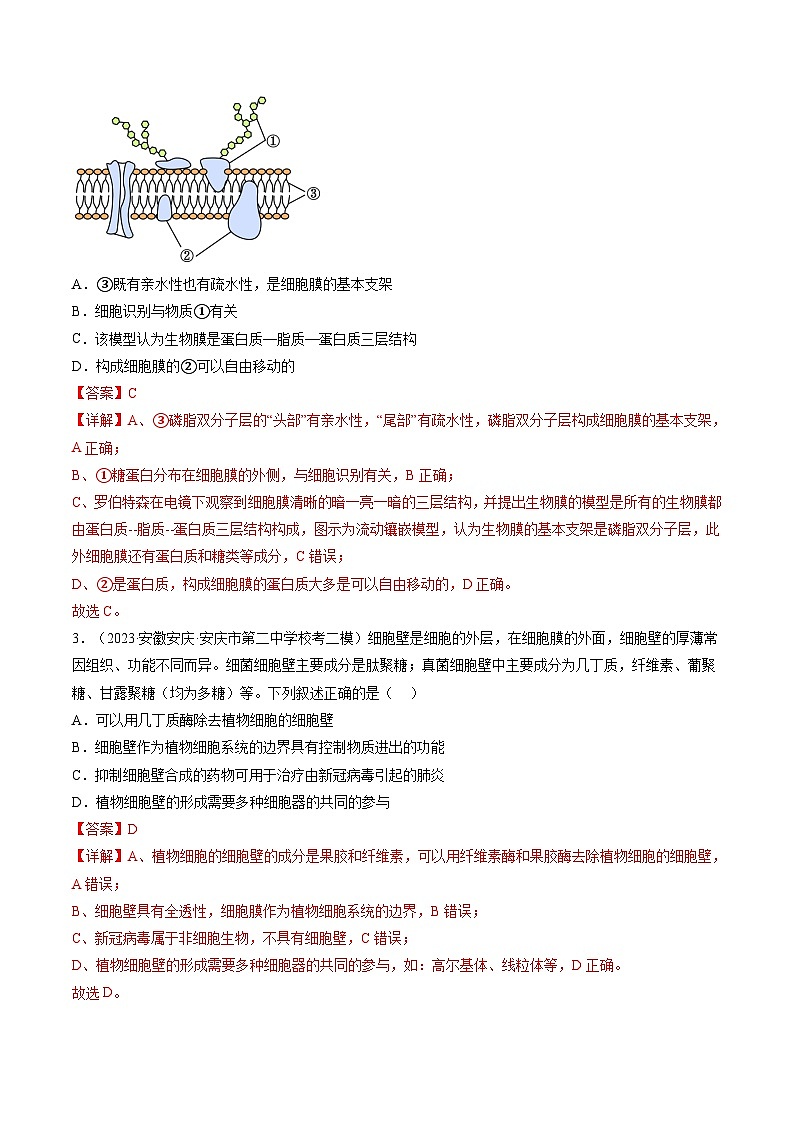 最新高考生物一轮复习【讲通练透】 第5讲 细胞膜和细胞核（练透）02