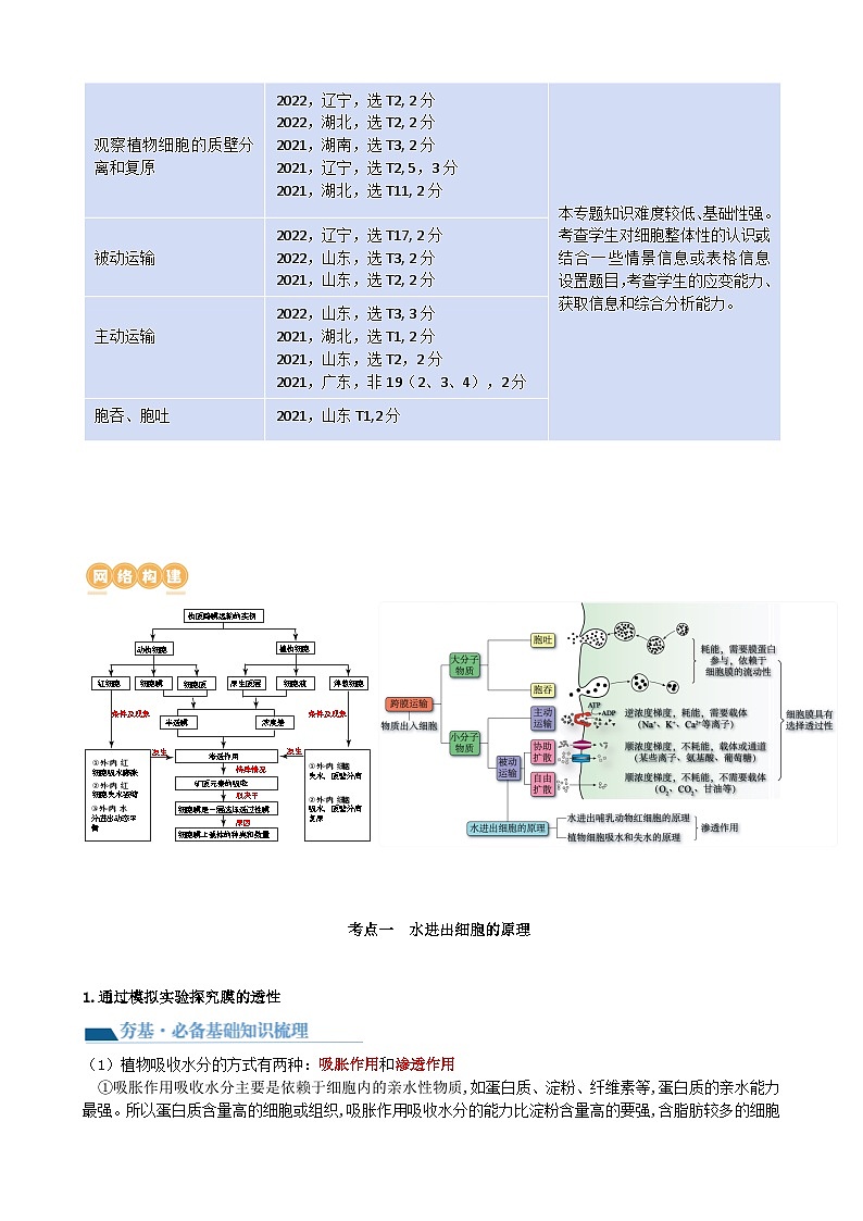 第7讲 物质运输（讲义）（学生版）第2页