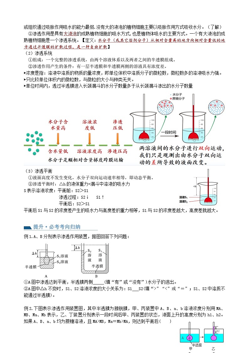 第7讲 物质运输（讲义）（学生版）第3页