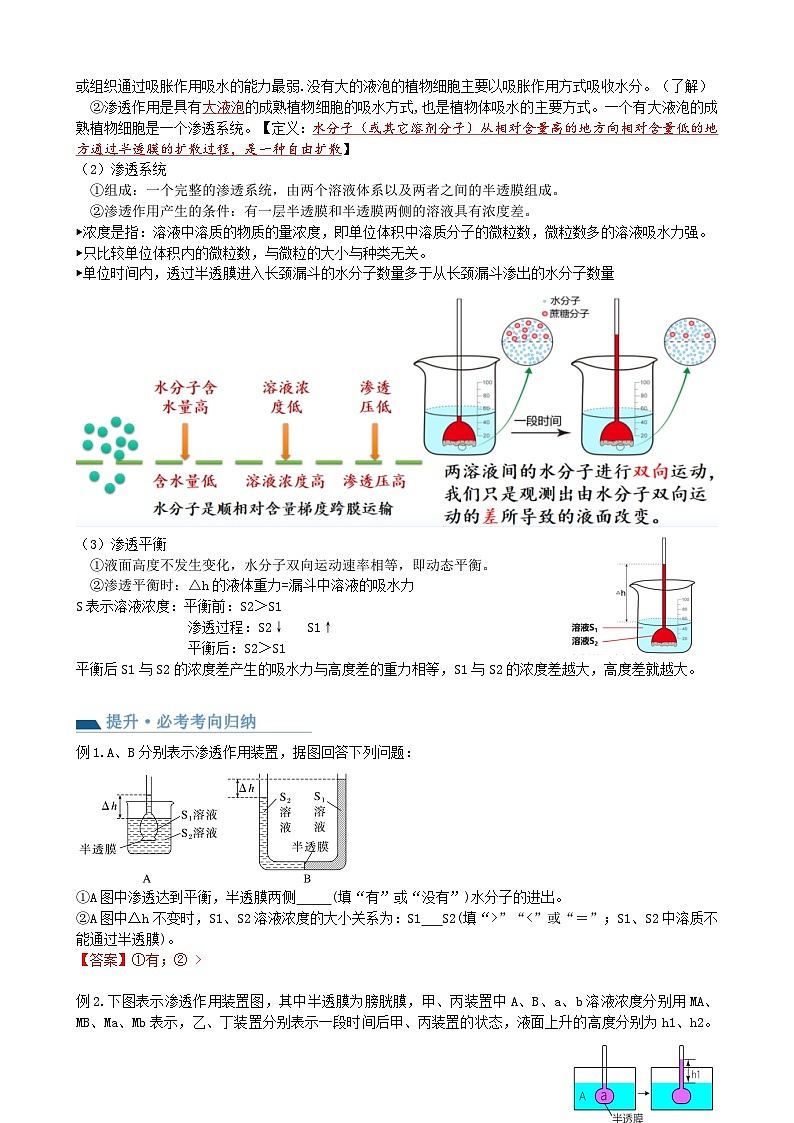 第7讲 物质运输（讲义）（教师版）第3页