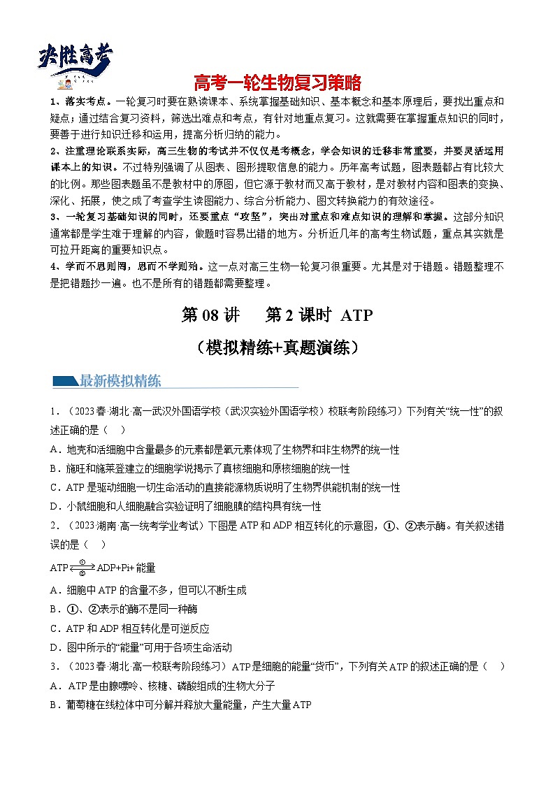 第8.2讲 ATP（练习）（原卷版）第1页