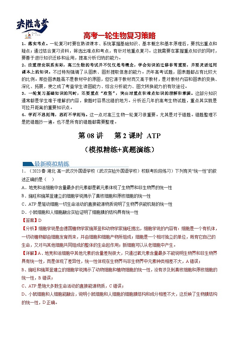 第8.2讲 ATP（练习）（解析版）第1页