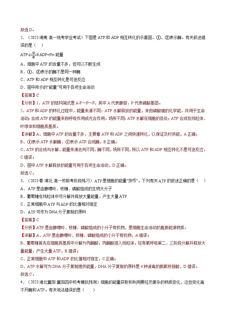第8.2讲 ATP（练习）（解析版）第2页