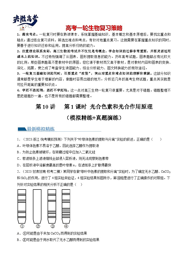 最新高考生物一轮复习【讲通练透】 第10.1讲 光合色素和光合作用原理（练习）01