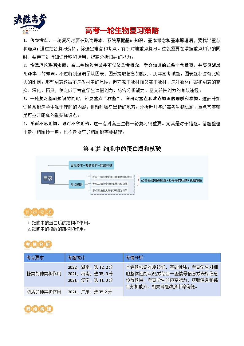 第4讲 细胞中的蛋白质和核酸（讲义）（教师版）第1页