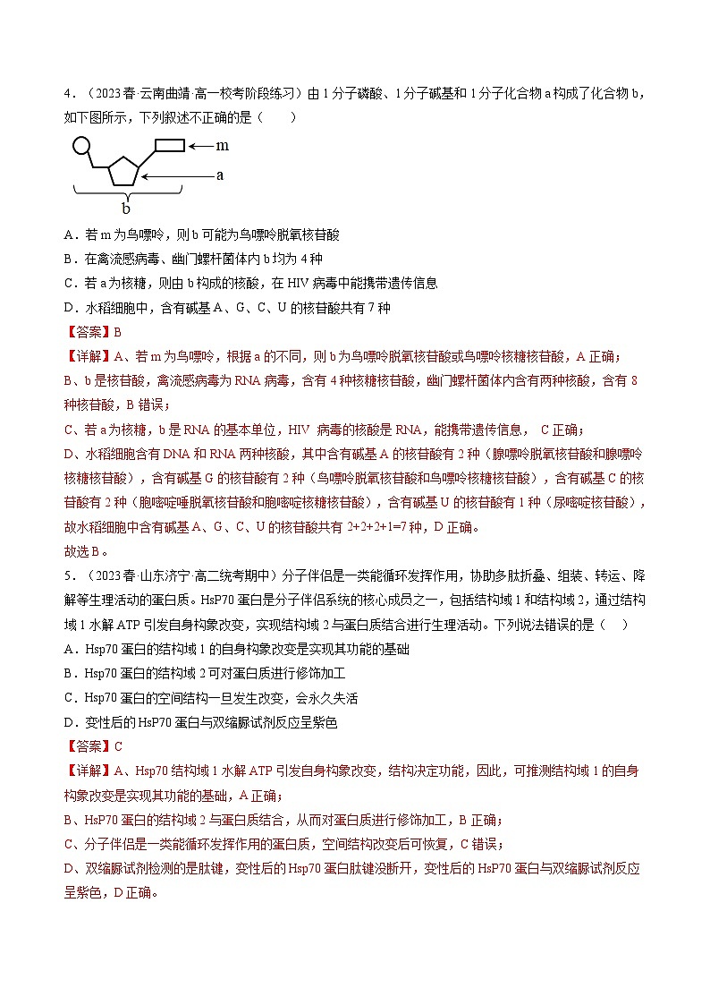 第4讲 细胞中的蛋白质和核酸（练习）（解析版）第3页