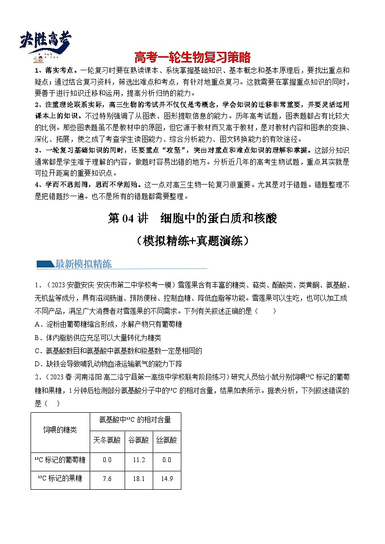 第4讲 细胞中的蛋白质和核酸（练习）（原卷版）第1页