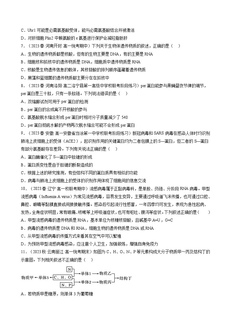 第4讲 细胞中的蛋白质和核酸（练习）（原卷版）第3页