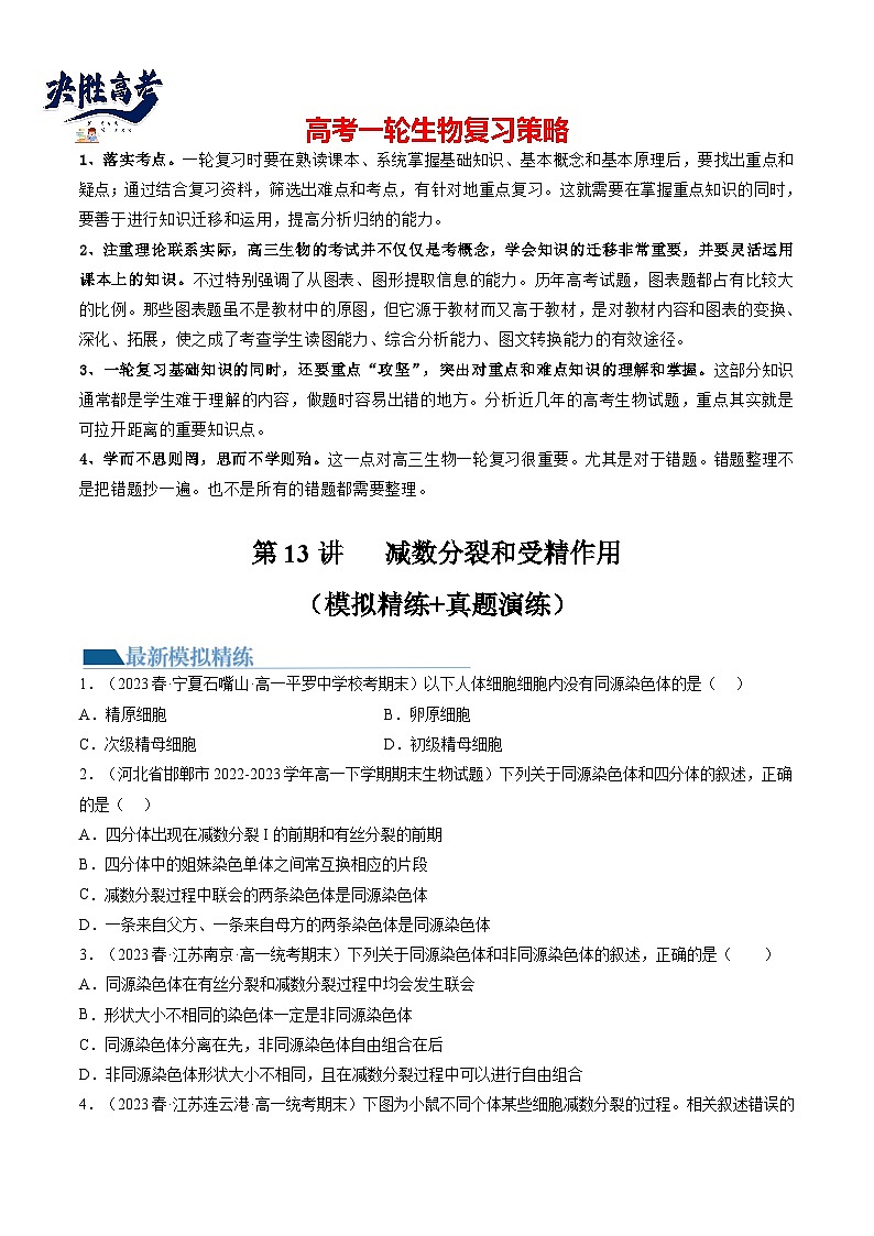 第13讲 减数分裂和受精作用（练习）（原卷版）第1页