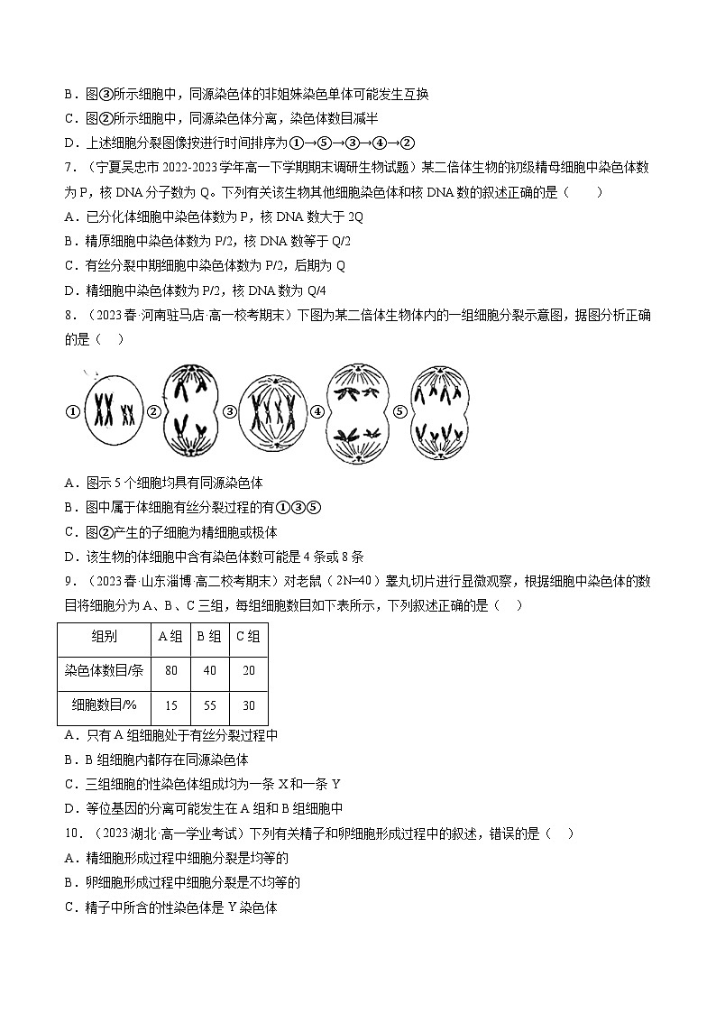 第13讲 减数分裂和受精作用（练习）（原卷版）第3页
