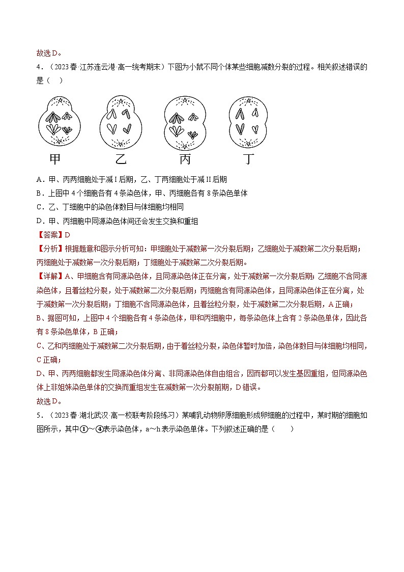 第13讲 减数分裂和受精作用（练习）（解析版）第3页