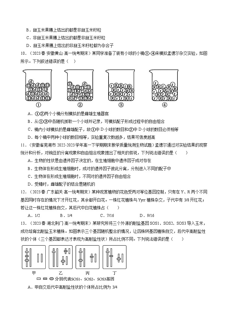 第17.1讲 基因的自由组合定律（练习）（原卷版）第3页