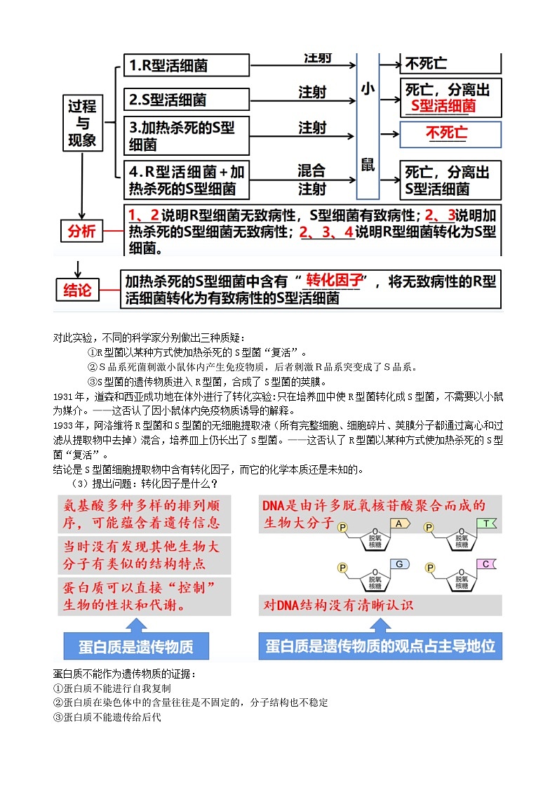 第20讲 DNA是主要的遗传物质（讲义）（教师版）第3页