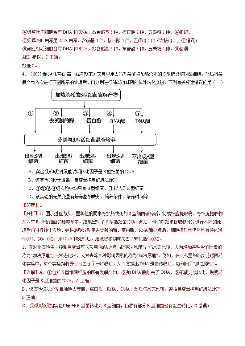最新高考生物一轮复习【讲通练透】 第20讲 DNA是主要的遗传物质（练透）03