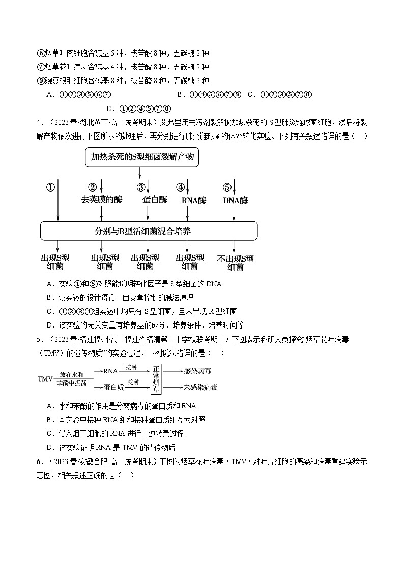 最新高考生物一轮复习【讲通练透】 第20讲 DNA是主要的遗传物质（练透）02