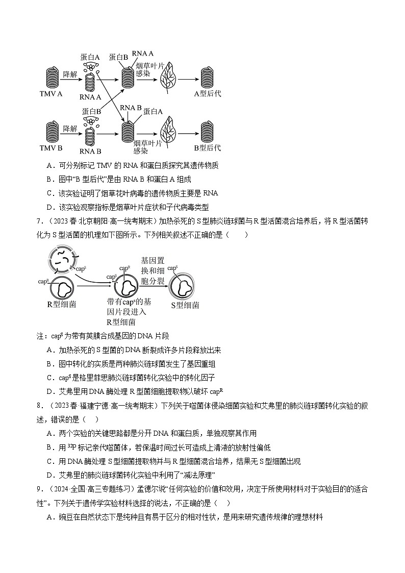 最新高考生物一轮复习【讲通练透】 第20讲 DNA是主要的遗传物质（练透）03