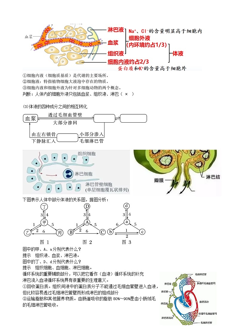 最新高考生物一轮复习【讲通练透】 第25讲 内环境与稳态（讲通）03