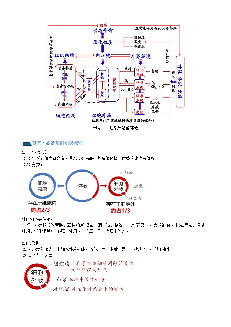 最新高考生物一轮复习【讲通练透】 第25讲 内环境与稳态（讲通）02