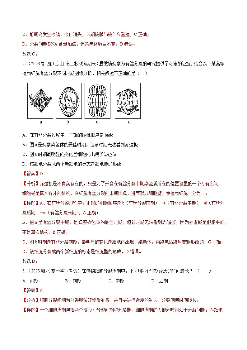 第四单元 细胞的生命历程（测试）（解析版）第2页