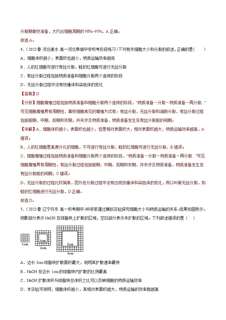 第四单元 细胞的生命历程（测试）（解析版）第3页