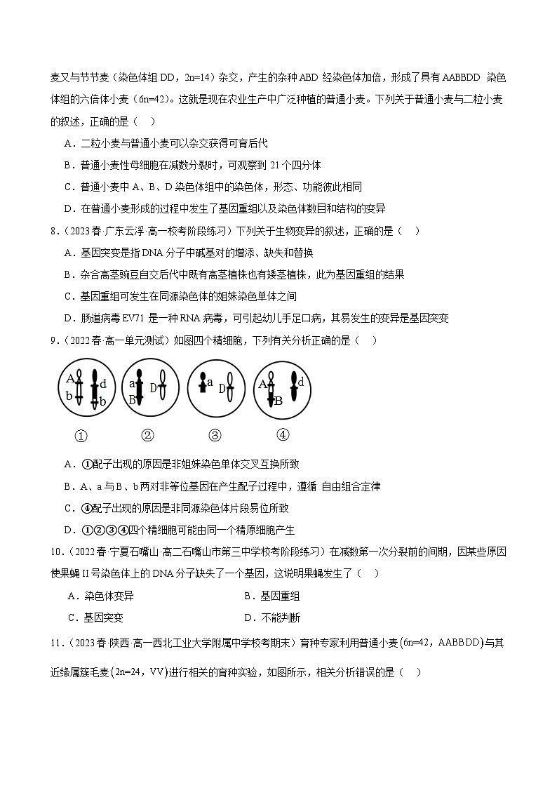 第七单元 生物的变异与进化（测试）（原卷版）第3页