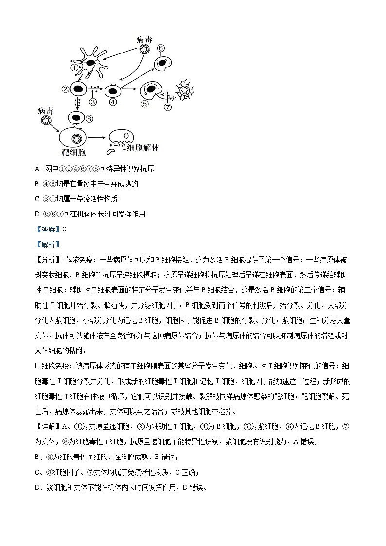 86，广西壮族自治区桂林市联考2023-2024学年高二下学期开学生物试题03