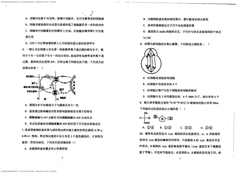 95，黑龙江省伊春市铁力市马永顺中学2023-2024学年高三上学期期末考试生物试题第2页