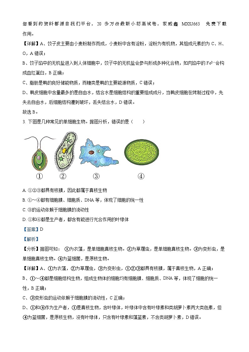 100，江苏省盐城市亭湖高级中学2023-2024学年高一上学期期中生物试题02