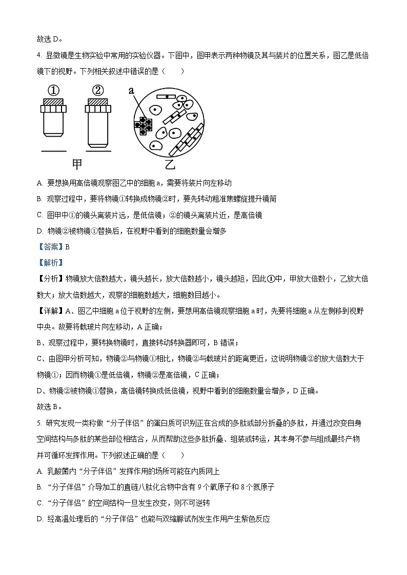 100，江苏省盐城市亭湖高级中学2023-2024学年高一上学期期中生物试题03