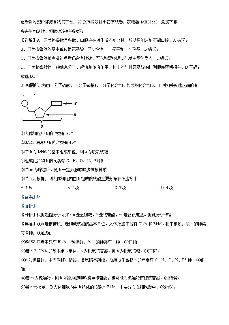 105，江西省赣州市2023-2024学年高一下学期开学考生物试题第2页