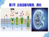 人教版生物必修一《主动运输与胞吞、胞吐》 PPT课件