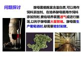 人教版生物必修一《细胞呼吸的原理和应用》 PPT课件