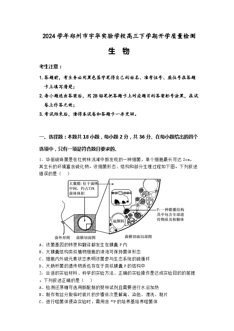 河南省郑州市宇华实验学校2023-2024学年高三下学期开学考试生物试卷（Word版附解析）01