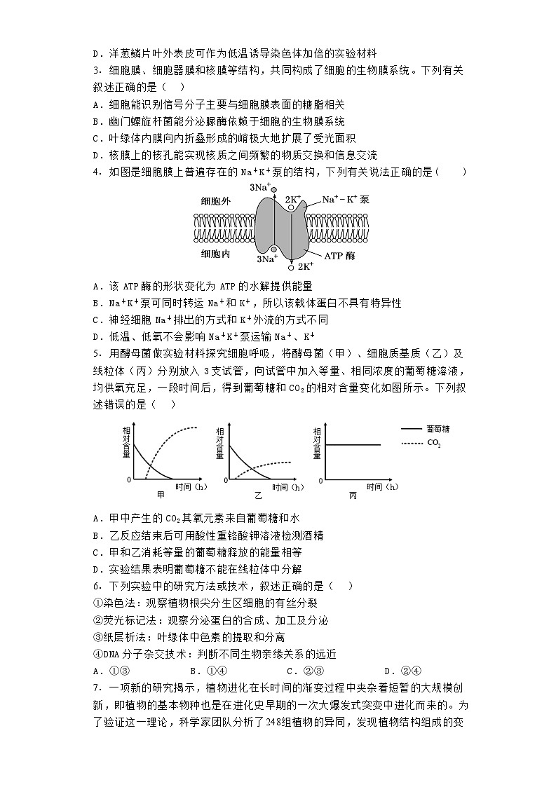 河南省郑州市宇华实验学校2023-2024学年高三下学期开学考试生物试卷（Word版附解析）02