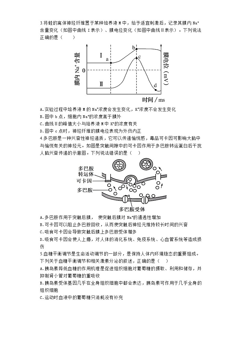 河南省郑州市新郑市郑州市宇华实验学校2023-2024学年高二下学期开学摸底考试生物试题02